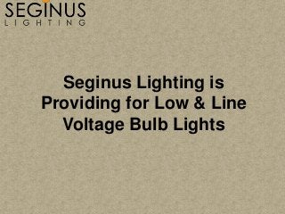Seginus Lighting is
Providing for Low & Line
Voltage Bulb Lights
 