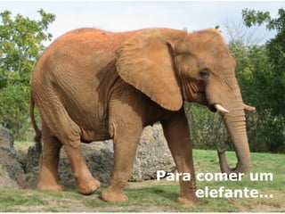 Para comer um 
elefante... 
 