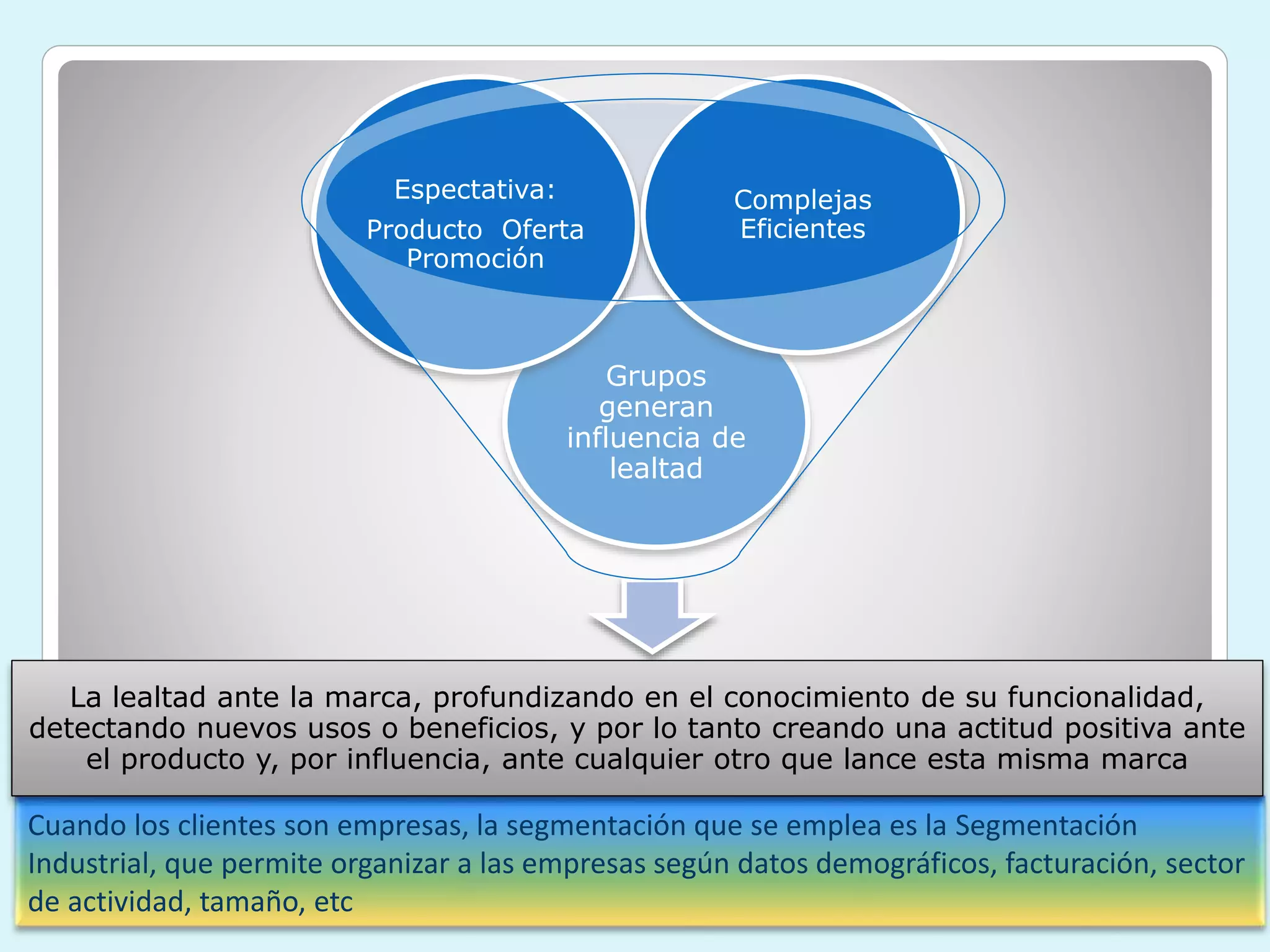 Segmentación de mercados y comportamiento del consumidor | PPTX