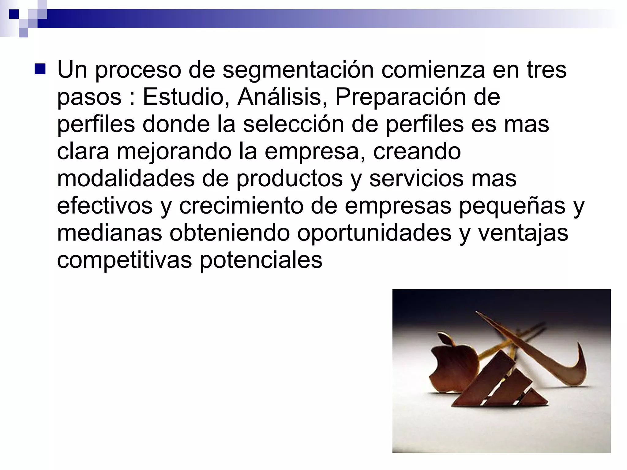 Un proceso de segmentación comienza en tres pasos : Estudio, Análisis, Preparación de perfiles donde la selección de perfiles es mas clara mejorando la empresa, creando modalidades de productos y servicios mas efectivos y crecimiento de empresas pequeñas y medianas obteniendo oportunidades y ventajas competitivas potenciales 