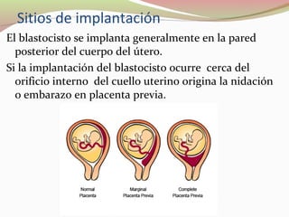 Segmentacion | PPT