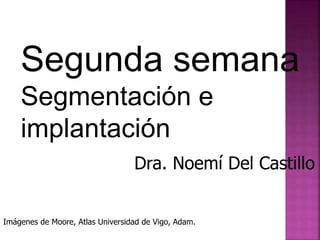 Segunda semana
Segmentación e
implantación
Dra. Noemí Del Castillo
Imágenes de Moore, Atlas Universidad de Vigo, Adam.
 