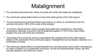 Segmental analysis of heart anatomy | PPTX