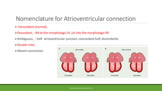Segmental approach in congenital heart disease [autosaved].pptx 2.pptx ...