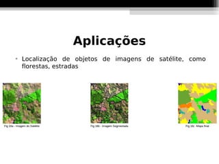 Aplicações

    Localização de objetos de imagens de satélite, como
    florestas, estradas
 