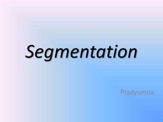 Segmentation
          Pradyumna
 