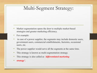 Segmentation class 12 ppt with proper explaination | PPTX