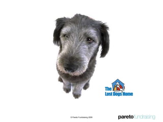 Using the data, donor type© Pareto Fundraising 2009