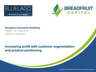 Increasing profit with customer segmentation
and product positioning
European Innovation Academy
Tallinn, 18th July 2013
Sandrine Vriesman
Copyright © 2013 BREADFRUIT CAPITAL AB. All Rights Reserved.
 
