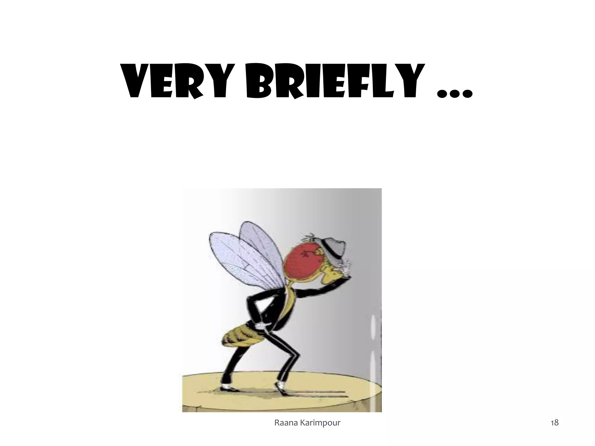 18
Very briefly …
Raana Karimpour
 