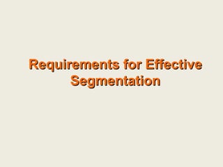 Requirements for Effective Segmentation 
