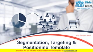 Segmentation Targeting And Positioning PowerPoint Presentation Slides | PPT