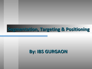Segmentation, Targeting & PositioningSegmentation, Targeting & Positioning
By: IBS GURGAONBy: IBS GURGAON
 
