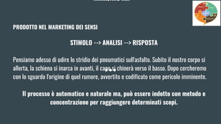 MARKETING MIX
PRODOTTO NEL MARKETING DEI SENSI
STIMOLO --> ANALISI --> RISPOSTA
Pensiamo adesso di udire lo stridio dei pneumatici sull'asfalto. Subito il nostro corpo si
allerta, la schiena si inarca in avanti, il capo si chinerà verso il basso. Dopo cercheremo
con lo sguardo l'origine di quel rumore, avvertito e codificato come pericolo imminente.
Il processo è automatico e naturale ma, può essere indotto con metodo e
concentrazione per raggiungere determinati scopi.
 