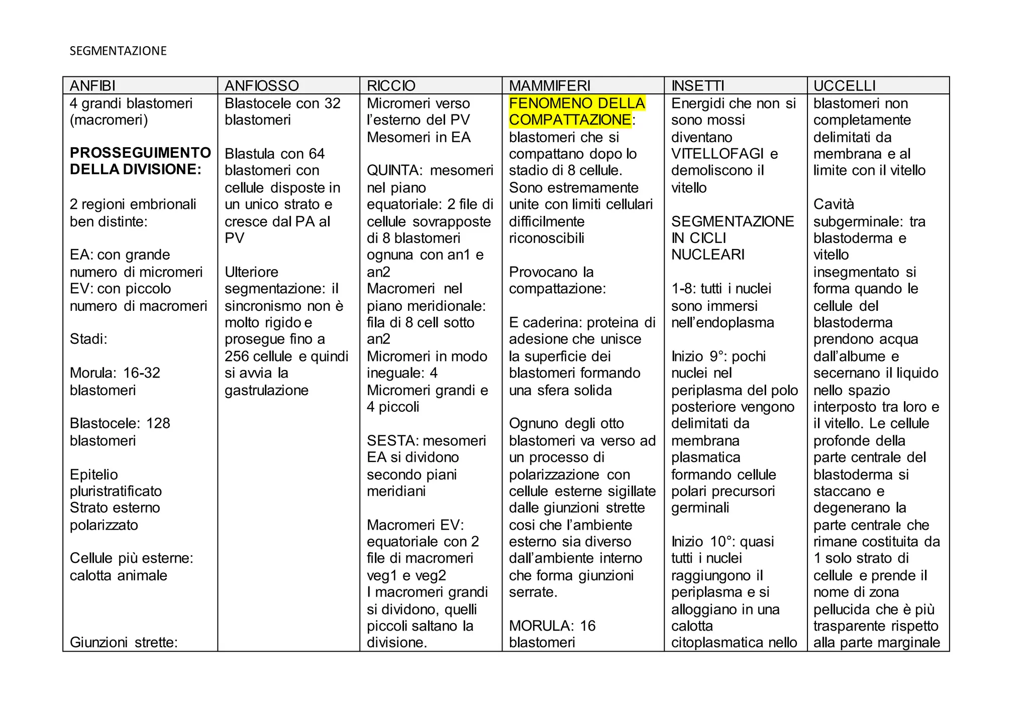 Biologia dello Sviluppo: Segmentazione | PPT