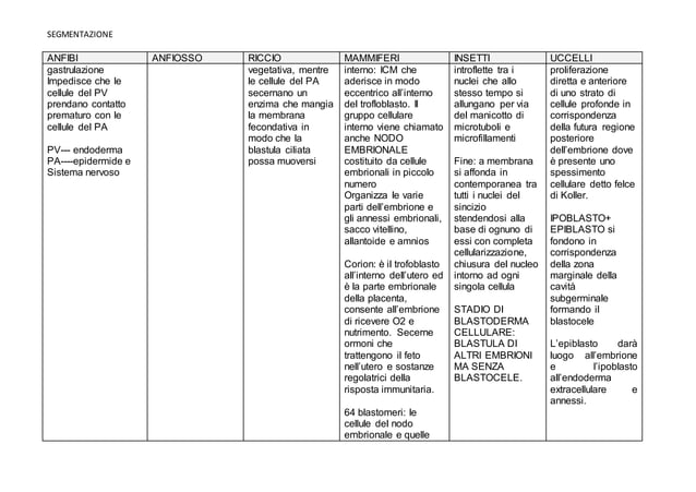 Biologia dello Sviluppo: Segmentazione | PPT