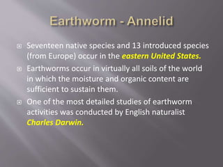  Seventeen native species and 13 introduced species
(from Europe) occur in the eastern United States.
 Earthworms occur in virtually all soils of the world
in which the moisture and organic content are
sufficient to sustain them.
 One of the most detailed studies of earthworm
activities was conducted by English naturalist
Charles Darwin.
 
