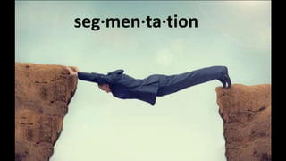 seg·men·ta·tion
 