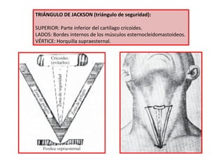 TRIÁNGULO DE JACKSON (triángulo de seguridad):
SUPERIOR: Parte inferior del cartílago cricoides.
LADOS: Bordes internos de los músculos esternocleidomastoideos.
VÉRTICE: Horquilla supraesternal.
 