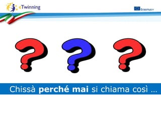 Chissà perché mai si chiama così …
 