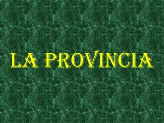 LA PROVINCIA 
