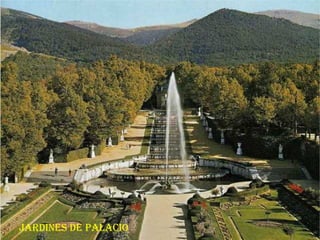 Jardines de Palacio 