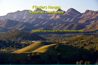 Flinders RangesFlinders Ranges
National LandscapeNational Landscape
Brachina Gorge Geological Trail and Bunyeroo ValleyBrachina Gorge Geological Trail and Bunyeroo Valley
 