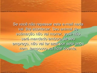Se você não repassar este e-mail nada vai  lhe acontecer. Seu animal de estimação não vai morrer, você não será mandado embora de seu emprego, não vai ter azar por sete anos nem  tampouco vai ficar doente. 
