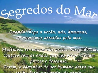 Segredos do Mar Quando chega o verão, nós, humanos,  nos sentimos atraídos pelo mar. Multidões se reúnem nas praias buscando um contato com as ondas que nos proporcionam prazer e descanso. Porém, o caminhar do ser humano deixa sua trilha fatal nas areias da praia. 