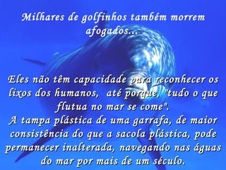 Milhares de golfinhos também morrem afogados...   Eles não têm capacidade para reconhecer os lixos dos humanos,  até porque, "tudo o que flutua no mar se come". A tampa plástica de uma garrafa, de maior consistência do que a sacola plástica, pode permanecer inalterada, navegando nas águas do mar por mais de um século. 