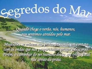 Segredos do Mar Quando chega o verão, nós, humanos,  nos sentimos atraídos pelo mar. Multidões se reúnem nas praias buscando um contato com as ondas que nos proporcionam prazer e descanso. Porém, o caminhar do ser humano deixa sua trilha fatal nas areias da praia. 