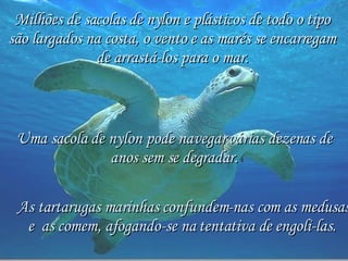 As tartarugas marinhas confundem-nas com as medusas e  as comem, afogando-se na tentativa de engoli-las.   Milhões de sacolas de nylon e plásticos de todo o tipo  são largados na costa, o vento e as marés se encarregam  de arrastá-los para o mar.   Uma sacola de nylon pode navegar várias dezenas de anos sem se degradar. 