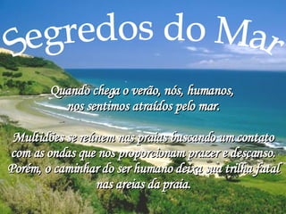 Segredos do Mar Quando chega o verão, nós, humanos,  nos sentimos atraídos pelo mar. Multidões se reúnem nas praias buscando um contato com as ondas que nos proporcionam prazer e descanso. Porém, o caminhar do ser humano deixa sua trilha fatal nas areias da praia. 