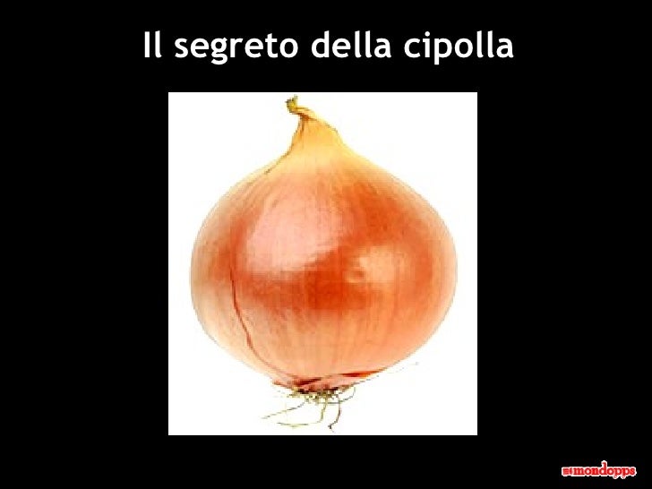 Il segreto della cipolla 