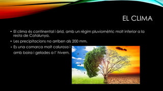 EL CLIMA
• El clima és continental i àrid, amb un règim pluviomètric molt inferior a la
resta de Catalunya.
• Les precipitacions no arriben als 200 mm.
• Es una comarca molt calurosa i
amb boira i gelades a l’ hivern.
 