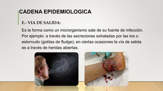 SEGURIDAD HOSPITALARIA | PDF