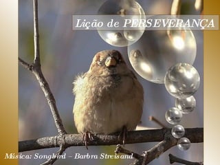 Lição de PERSEVERANÇA  Música: Songbird – Barbra Streisand  