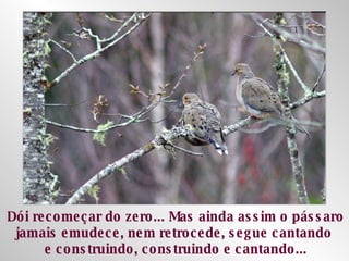 Dói recomeçar do zero... Mas ainda assim o pássaro jamais emudece, nem retrocede, segue cantando  e construindo, construindo e cantando... 