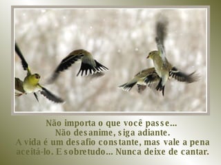 Não importa o que você passe...  Não desanime, siga adiante. A vida é um desafio constante, mas vale a pena aceitá-lo. E sobretudo... Nunca deixe de cantar. 