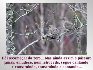 Dói recomeçar do zero... Mas ainda assim o pássaro jamais emudece, nem retrocede, segue cantando  e construindo, construindo e cantando... 