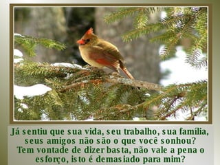 Já sentiu que sua vida, seu trabalho, sua família,  seus amigos não são o que você sonhou? Tem vontade de dizer basta, não vale a pena o esforço, isto é demasiado para mim? 