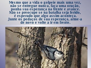 Mesmo que a vida o golpeie mais uma vez,  não se entregue nunca, faça uma oração,  ponha sua esperança na frente e avance. Não se preocupe se na batalha seja ferido,  é esperado que algo assim aconteça. Junte os pedaços de sua esperança, arme-a  de novo e volte a ir em frente. 