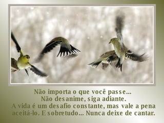 Não importa o que você passe...  Não desanime, siga adiante. A vida é um desafio constante, mas vale a pena aceitá-lo. E sobretudo... Nunca deixe de cantar. 