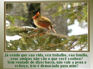 Já sentiu que sua vida, seu trabalho, sua família,  seus amigos não são o que você sonhou? Tem vontade de dizer basta, não vale a pena o esforço, isto é demasiado para mim? 