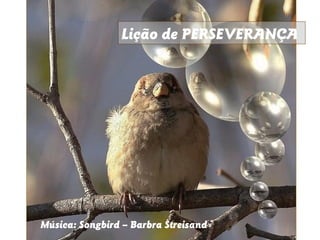 Lição de PERSEVERANÇA




Música: Songbird – Barbra Streisand
 