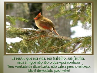 Já sentiu que sua vida, seu trabalho, sua família,  seus amigos não são o que você sonhou? Tem vontade de dizer basta, não vale a pena o esforço, isto é demasiado para mim? 