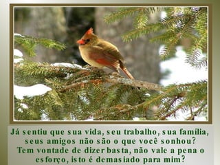Já sentiu que sua vida, seu trabalho, sua família,  seus amigos não são o que você sonhou? Tem vontade de dizer basta, não vale a pena o esforço, isto é demasiado para mim? 