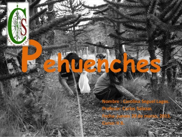 Seguel carolina pehuenches