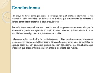 • El proyecto tuvo como propósito la investigación y el análisis obteniendo como
resultado conocimientos en cuanto a un cultivo, que actualmente es rentable y
genera ganancias monetarias a bajo presupuesto.

•las relaciones matemáticas encontradas en el proyecto son muestra de que la
matemática puede ser aplicada en todo lo que hacemos a diario desde lo mas
sencillo hasta en algo tan complejo como un cultivo.
• al comparar los resultados de crecimiento del cultivo de cilantro en el vivero con
los datos expresados en bibliografías y Cibergrafia obtenemos que las medidas en
algunos casos no son parecidas puesto que hay condiciones en el ambiente que
producen que el crecimiento sea demorado o en efecto sea rápido.

 