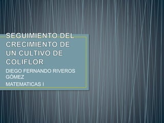 DIEGO FERNANDO RIVEROS
GÓMEZ
MATEMATICAS I
 